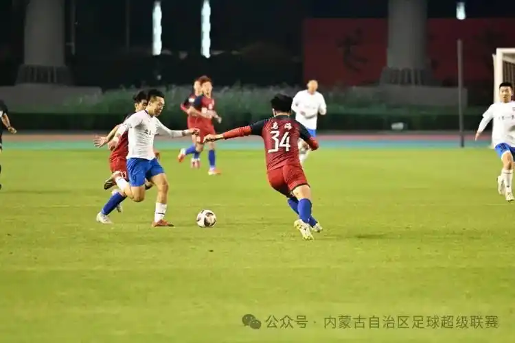 成人高清网站